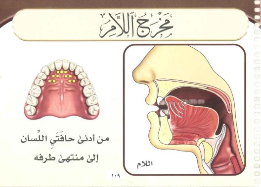 Lam sakinah rules