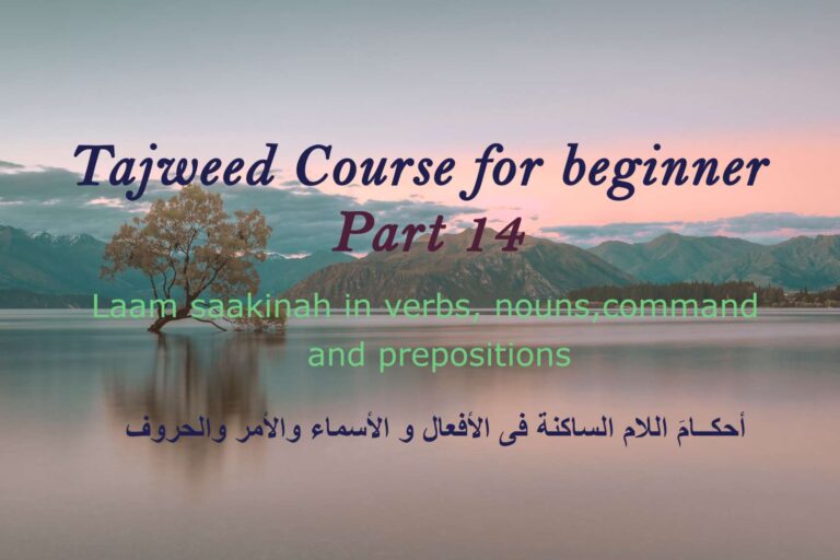 The Laam saakinah in verbs, nouns, command and participles