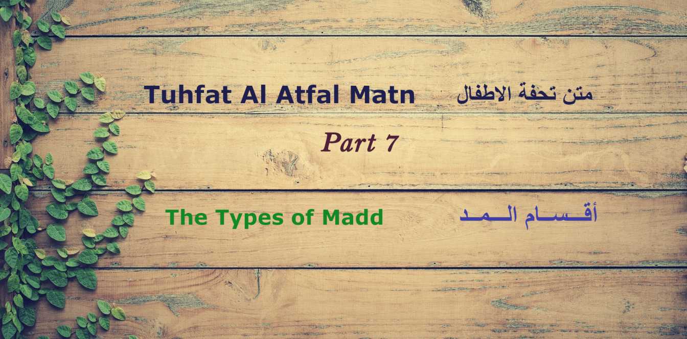 Tuhfat Al Atfal Matn part 7