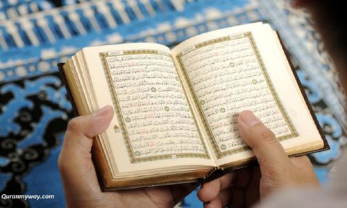 Learning Quran online