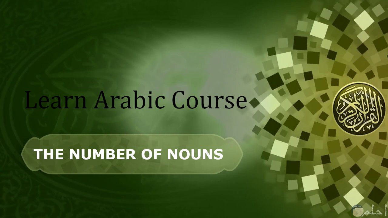 THE NUMBER OF NOUNS