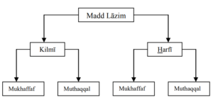 The Types of Madd Lazim