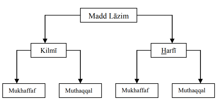 The Types of Madd Lazim