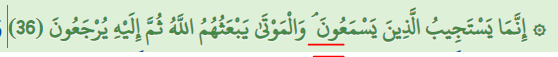 Al waqif examples