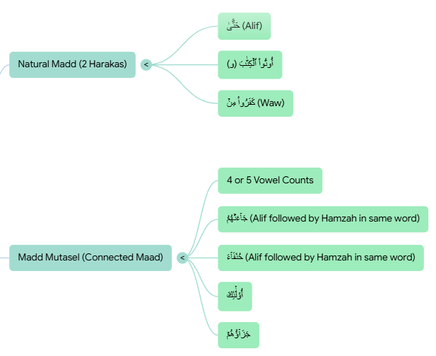 Baiyyainh Surahs