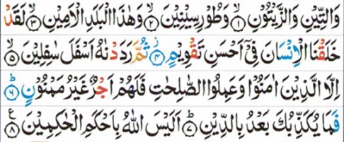 Learn Surah Al Tin with Tajweed Rules